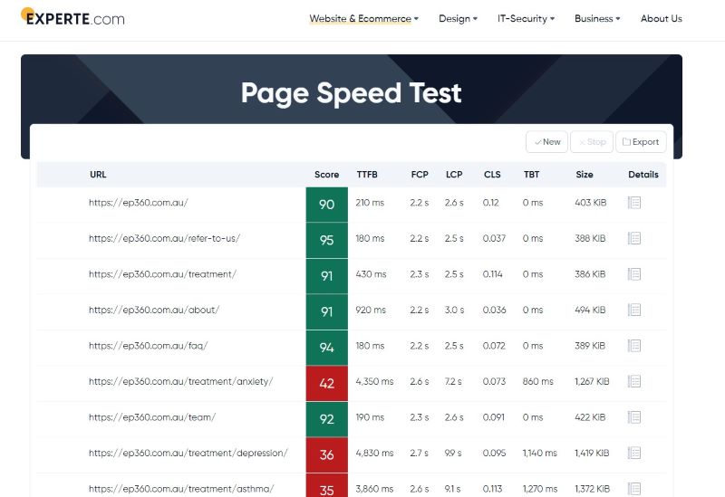 Experte.com page speed tool